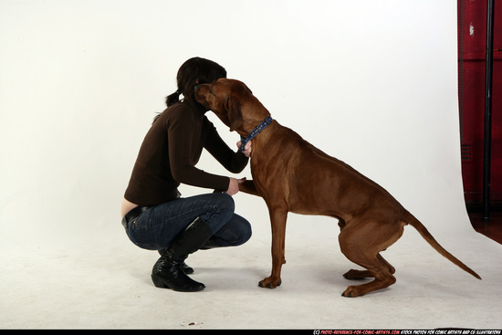 Dog Young Athletic Another Daily activities Sitting poses