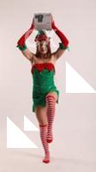 VERONIKA ELF STANDING POSE WITH BOX