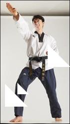 Taekwondo fighting young man Lan